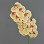 Ramo di orchidea Phalaenopsis artificiale XURI, pesca-fucsia, 95 cm, Ø 12,5 cm