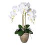 Orchidea Phalaenopsis artificiale FRIMTOR in vaso di terracotta, radici, bianca, 75cm