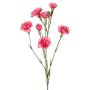 Ramo decorativo di garofano PIARA, rosa, 60 cm, Ø 3-5 cm