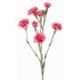 Ramo decorativo di garofano PIARA, fucsia, 60cm, Ø3-5cm