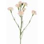 Ramo decorativo di garofano PIARA, rosa pallido, 60cm, Ø3-5cm