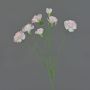 Ramo decorativo di garofano PIARA, rosa tenue, 60 cm, Ø 3-5 cm
