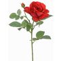Fiore decorativo rosa WAIOLA, rosso, 65cm, Ø11cm