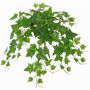 Decorazione a cascata di edera BESSIE su stelo, Eco Collection, verde, 55cm