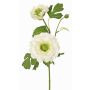 Ranuncolo artificiale SAGARA, bianco-verde, 45cm, Ø5-9cm
