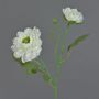 Ranuncolo artificiale SAGARA, bianco-verde, 45 cm, Ø 5-9 cm