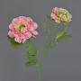 Ranuncolo artificiale SAGARA, rosa-verde, 45 cm, Ø 5-9 cm
