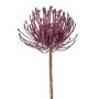 Fioro decorativo a forma di cuscino porta spilli Protea ZIRMO, lilla, 50cm