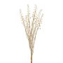 Mazzo decorativo di bacche di kermes ILMOR, bacche, effetto secco, beige, 50 cm