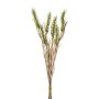 Mazzo decorativo di grano TILPA con spighe, verde, 50 cm