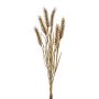 Mazzo decorativo di grano TILPA con spighe, marrone, 50 cm