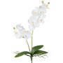 Orchidea Phalaenopsis artificiale KRUZBER, stelo, radici, bianca, 55 cm