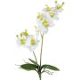 Orchidea Phalaenopsis artificiale KRUZBER, stelo, radici, bianco-verde, 55 cm