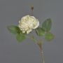 Fiore decorativo rosa cavolo VOMTE, effetto secco, beige, 45 cm, Ø 7 cm