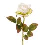 Fiore decorativo rosa DRINT, effetto secco, bianco-verde, 60 cm, Ø 10,5 cm