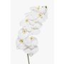 Ramo di orchidea Phalaenopsis artificiale XURI, bianco, 95 cm, Ø 12,5 cm