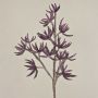 Schiuma sintetica, ramo artificiale Sedum rubrotinctum MOMOKA, viola scuro, 105 cm