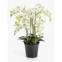 Fiore artificiale, orchidea Phalaenopsis FINEA in vaso decorativo, color crema, 85 cm