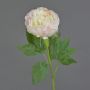 Fiore artificiale peonia SEDFY, crema-rosa tenue, 60 cm, Ø 10 cm
