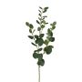 Ramo artificiale di eucalipto JINVAL, verde, 80 cm