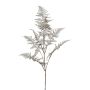 Ramo artificiale di Asparagus Plumosus BLORVI, argento anticato, 90 cm
