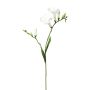 Ramo artificiale di fresia FONDYL, bianco, 70 cm