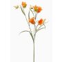 Ramo decorativo di campanula EMMELY, arancione, 65 cm, Ø 5 cm