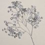 Gipsofila in plastica MARLIESE, argento, 65 cm, Ø 1-1,5 cm