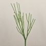 Pianta decorativa a matita BENEDETTO, verde, 50 cm