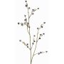 Ramo decorativo Stirlingia latifolia COLLAN, nero-bianco, 75cm, Ø1cm