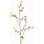 Ramo decorativo di Stirlingia latifolia COLLAN, arancione-verde, 75cm, Ø1cm