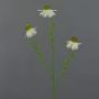Ramo di echinacea artificiale CELIO, color crema, 70 cm, Ø 6-7 cm