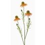 Ramo di echinacea artificiale CELIO, albicocca, 70 cm, Ø 6-7 cm