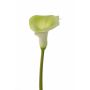 Fiore artificiale di calla MIRAC, verde-bianco, 75 cm, 12x15 cm