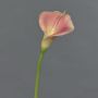 Fiore artificiale Calla MIRAC, rosa-giallo, 75 cm, 12x15 cm