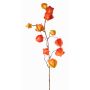 Ramo decorativo di physalis PERSEI con frutti, arancione, 80cm