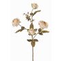 Ramo di rosa artificiale SITARA, effetto secco, crema-rosa, 75cm, Ø5-8cm