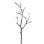 Ramo di magnolia artificiale LOSTY, marrone, 45 cm