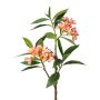 Ramo artificiale di frangipani DRIFEN, giallo-rosa, 110 cm