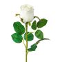 Fiore decorativo rosa KLONI, bianco, 50 cm, Ø 5,5 cm