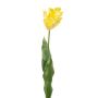Tulipano a becco di pappagallo artificiale LUNIA, giallo chiaro, 70 cm
