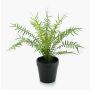 Pianta artificiale felce a coste CASCOT, verde, 20 cm