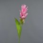 Fiore artificiale Curcuma LAROUCO, rosa, 75 cm, Ø 8 cm