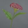 Fiore artificiale a cresta di gallo ANUBIS, rosa shocking, 60 cm, Ø 14 cm