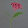 Fiore artificiale a cresta di gallo ANUBIS, viola, 60 cm, Ø 14 cm