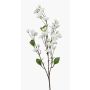 Ramo decorativo di ciliegio ornamentale AKEMI con fiori, bianco, 90 cm