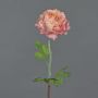 Ranuncolo artificiale ELORIO, rosa-crema, 50 cm, Ø 10 cm