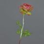 Ranuncolo artificiale ELORIO, rosa-verde, 50 cm, Ø 10 cm
