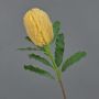Fiore artificiale Banksia robur YUSTE, pesca, 65 cm, Ø 8 cm