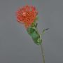 Fiore artificiale a forma di cuscino porta spilli Protea HERVAS, rosso-arancione, 70 cm, Ø 12 cm